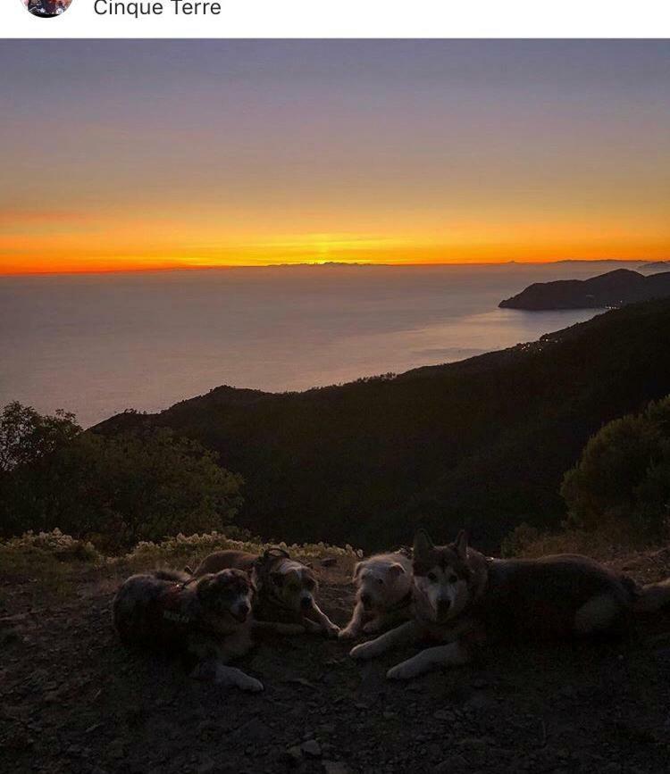 Apartmán La casa di Zahra Riccò del Golfo di Spezia Exteriér fotografie